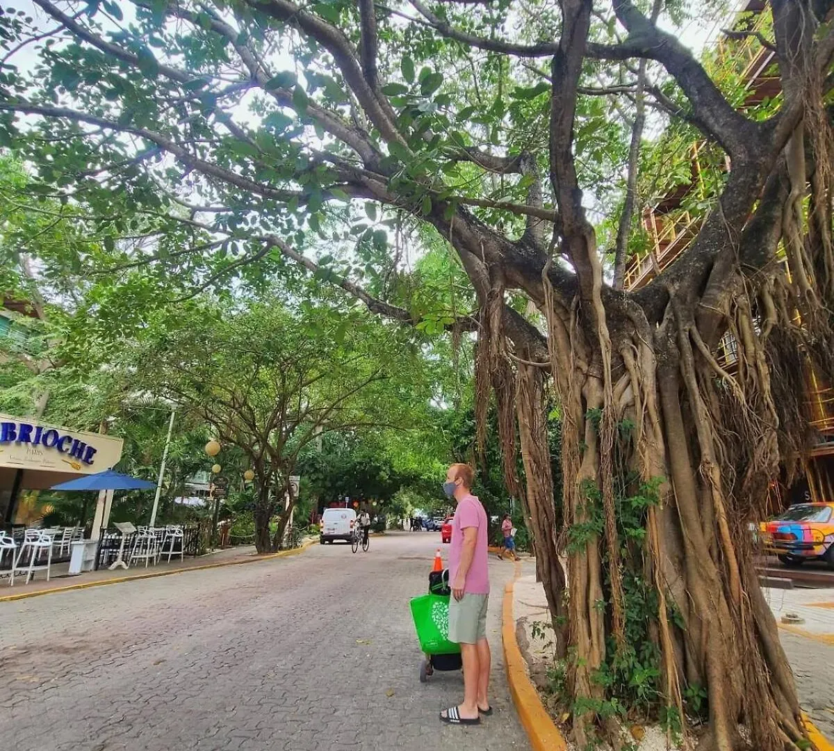 Charming 1 Bedroom Apartment Near 5Th Ave - Lcondos 202 Playa del Carmen