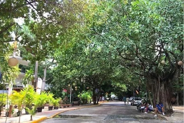 Charming 1 Bedroom Apartment Near 5Th Ave - Lcondos 202 Playa del Carmen
